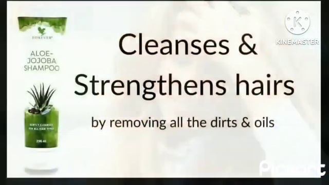 Benefits of Aloe Jojoba Shampoo & Conditioner|#tlfcreators #flp #foreverliving #digitalmarketing смотреть онлайн