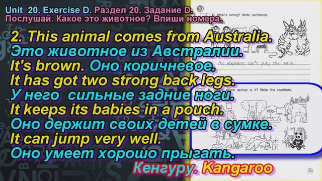 3 класс задание D раздел 20 Рабочая тетрадь Вербицкая Английский язык Forward смотреть онлайн