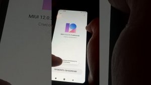 MIUI 12 для Mi 9T.Самостоятельная прошивка бекап Mi 9T через три точки в ОТА без компа.