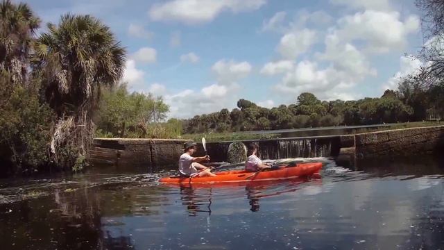 Kayaking Myakka River смотреть онлайн