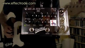 Effectrode Blackbird Preamp