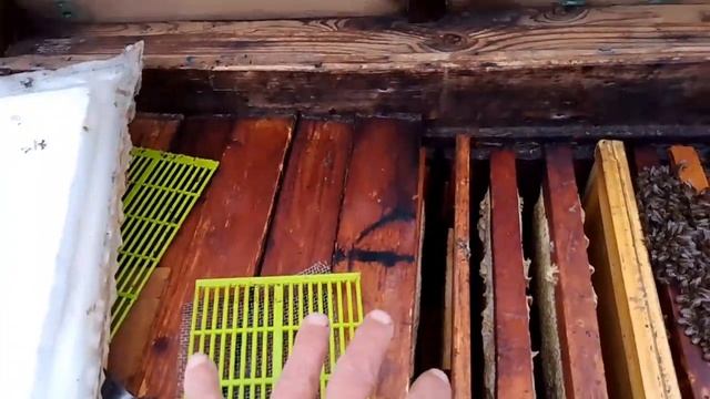 Кандидатка для двух семейной зимовки через фанерную перегородкой с лючком с сеточкой.