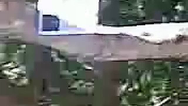 Jakemolests a poison manchineel tree_NEW.avi смотреть онлайн