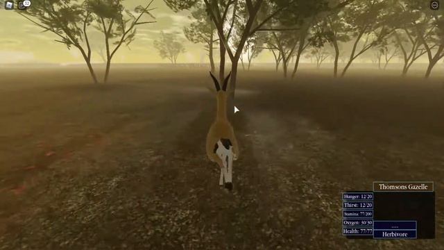 ROBLOX Wild Savannah смотреть онлайн