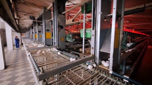 Деревня Недюревка