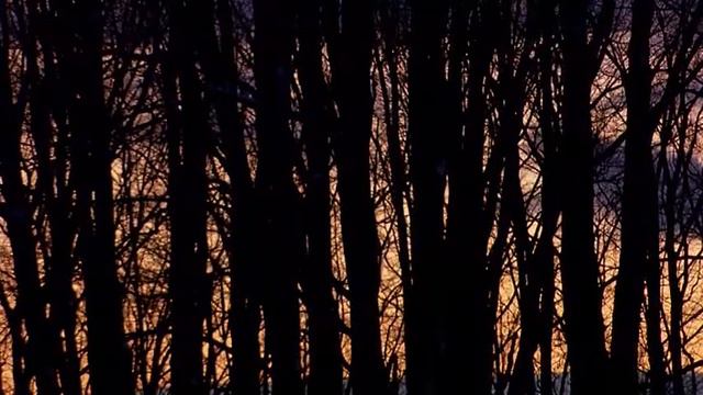 Rites Of Passage - African