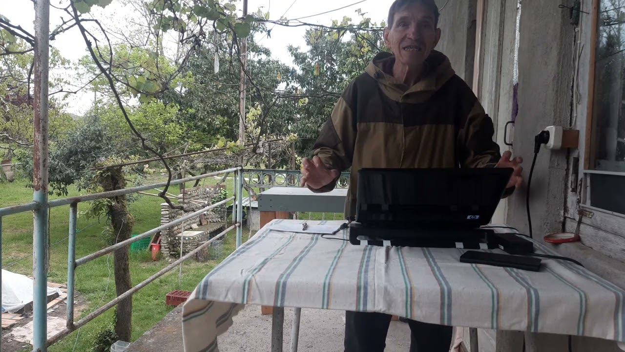 Кого и почему кусают собаки смотреть онлайн