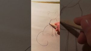 Как научиться рисовать кошку которая сидит#cat