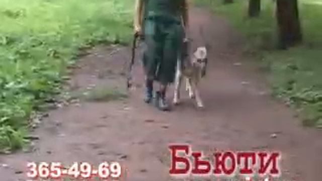 Звериная компания 9 сентября 2008 года смотреть онлайн