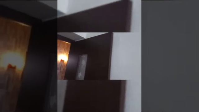 WhatsApp Video 2021 01 19 at 19 21 33 смотреть онлайн