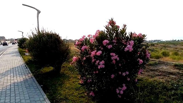 новханы набережная пляжа море июль 2021 смотреть онлайн