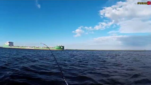 Рыбалка на реке Свирь.Выезд за судаком.Но попался только окунь. смотреть онлайн