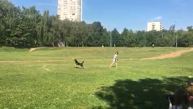 ЧР фрисби Лаврова Алла смотреть онлайн