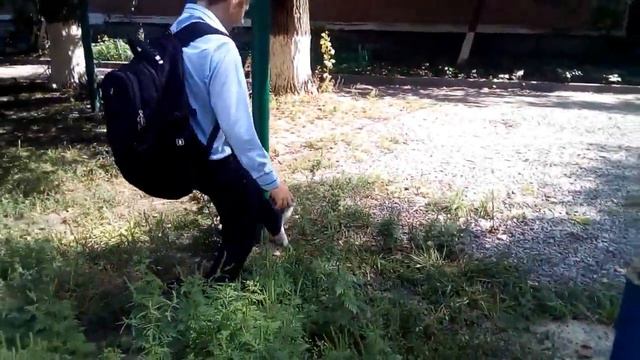 Башенный кот влада смотреть онлайн