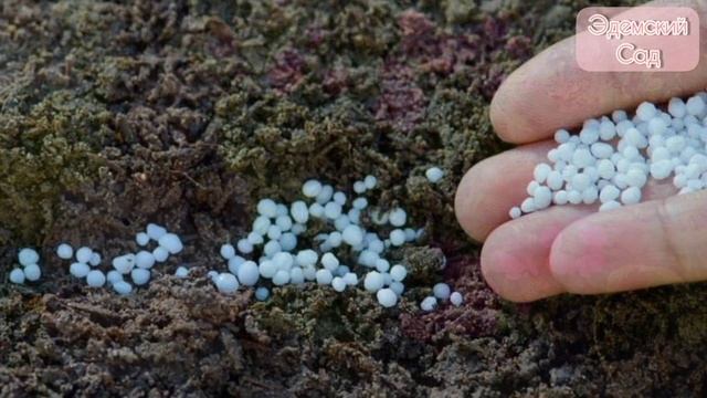 Стройка Мечты