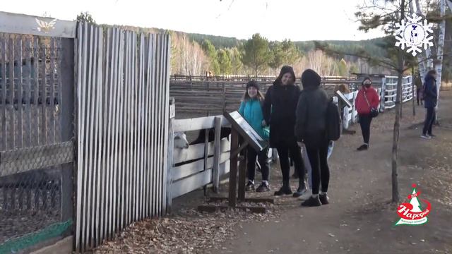 Экскурсия в Амодово смотреть онлайн