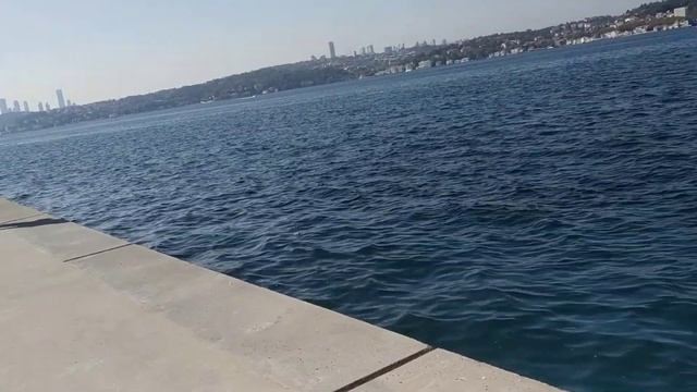 Азиатское побережье пролива Босфор в Стамбуле. Чистая вода, воздух, рыбаки и наш гид Рафик Азиз. смотреть онлайн