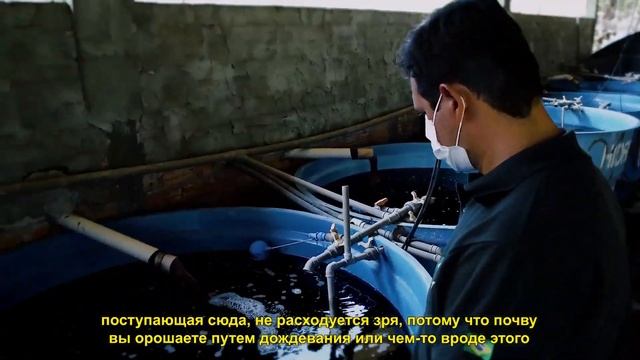 Быть экологически устойчивым - значит заботиться о земле, людях и окружающей среде смотреть онлайн