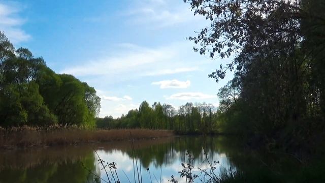Апрельские клавиши смотреть онлайн