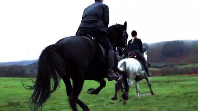 клип про лошадей смотреть онлайн