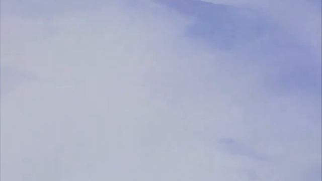 эдит по берсерку. Уход Гатса из отряда сокола смотреть онлайн