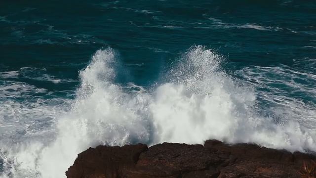 Компактная пудра The Sheer Pressed Powder | Коллекция Skincolor de la Mer | La Mer смотреть онлайн