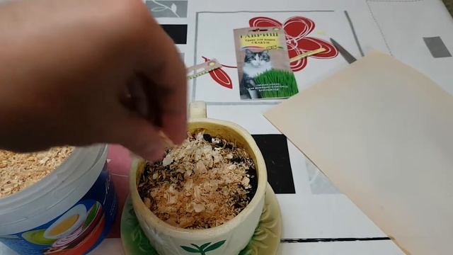 Трава для кота Скакун Обзор смотреть онлайн