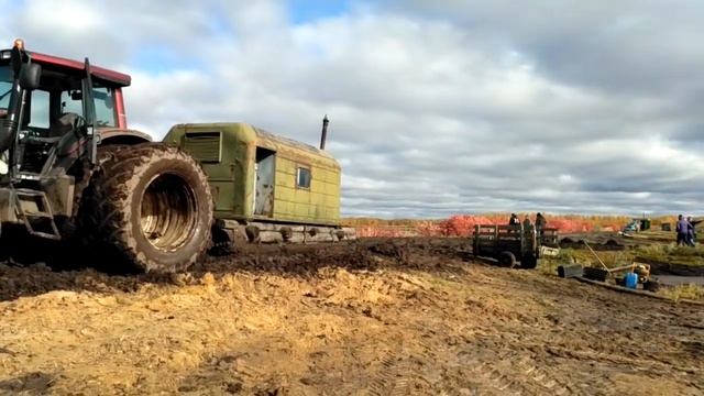 На клюквенной плантации