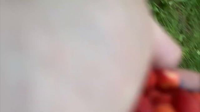 СЕМЕЙНАЯ ПРОГУЛКА ПО ЛЕСУ / ЕДИМ ЗЕМЛЯНИКУ И ЧЕРНИКУ смотреть онлайн