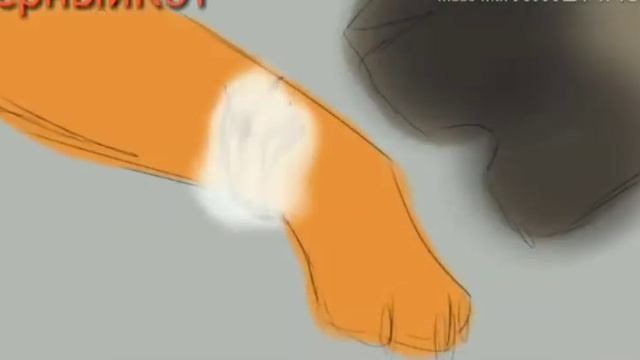 Песня кубики подброс смерти не боюсь коты воители смотреть онлайн