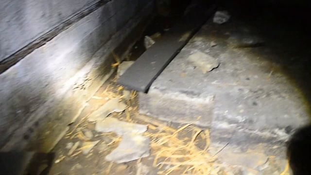 Исследуем немецкий капонир 1938 года смотреть онлайн