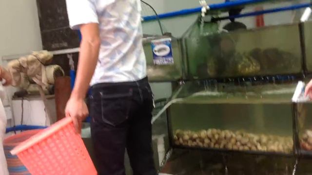 Хайнань с 06.02.2017г-19.02.2017г. Бухта Дадунхай смотреть онлайн