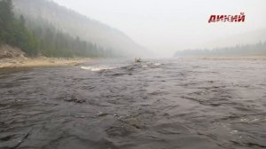 Анатолий Полотно и Федя Карманов - Сказочное лето (часть 3)