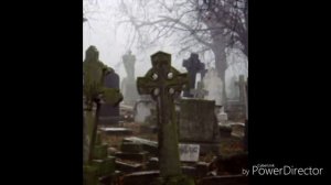 Сектор Газа укус вампира