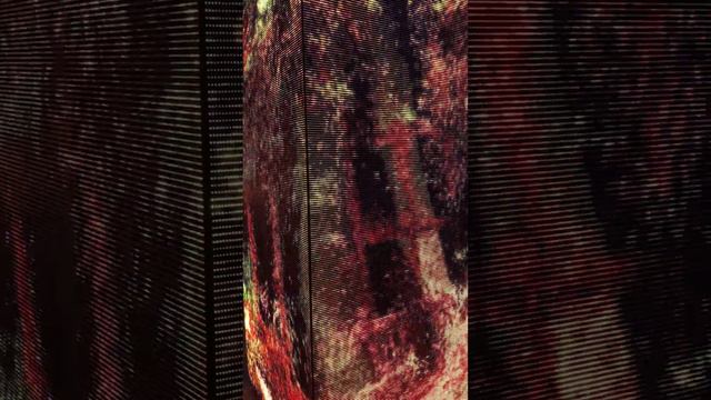 Таинственный лес в Зарядье смотреть онлайн