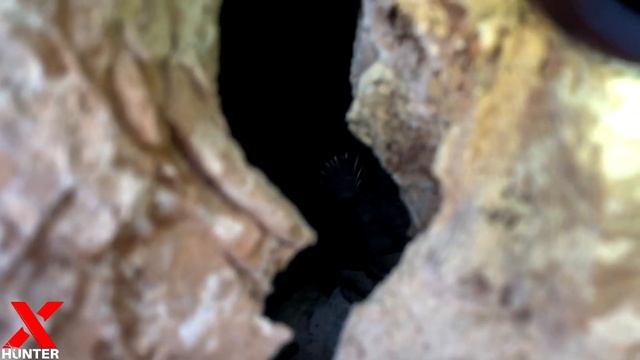 Treasure Hunter Extracts A Golden Treasure Inside A Big Rock