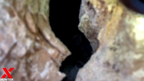 Treasure Hunter Extracts A Golden Treasure Inside A Big Rock