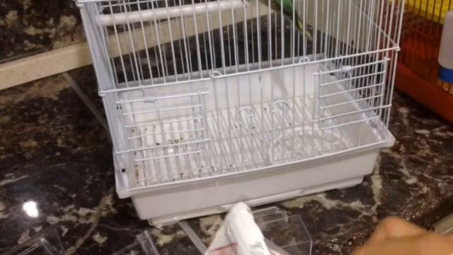 Убираю в клетках ////Хомяки Попугай/Family Pets смотреть онлайн