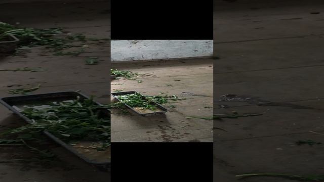 27-04-2023 смотреть онлайн