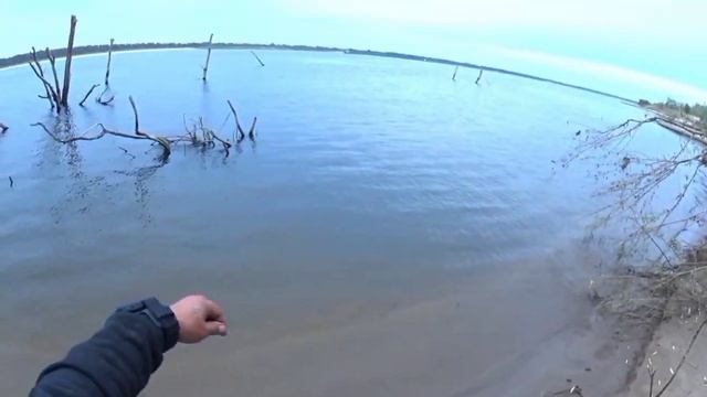 Ловим Судака на интересную снасть "Пробка" Ловля Судака с берега на отводной поводок! смотреть онлайн