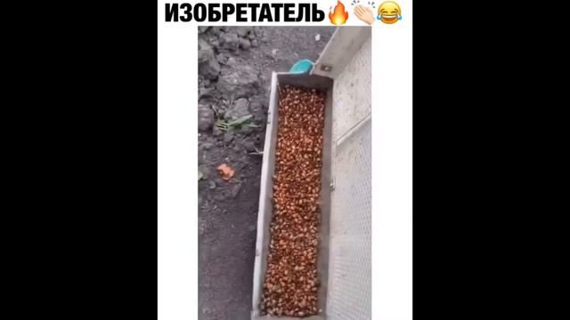 10 минут смеха | Приколы | Ржач | Смешные видео | Сборник #50 | Приколы смотреть онлайн