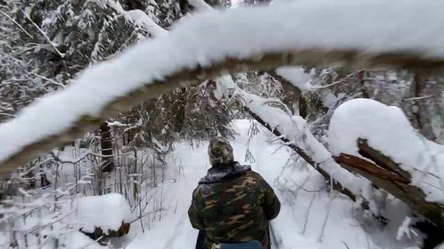 Гусеницы на мотоблоке. Возим валежник. смотреть онлайн