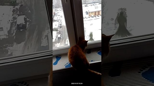 У Юки живой телевизор ? смотреть онлайн