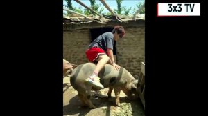 Подборка приколов с японцами