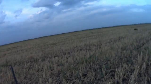 Охота в Ростовской области. Первый вяхирь сезона 2022 г. смотреть онлайн