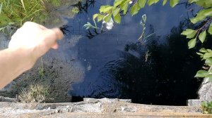 Мелитополь ручей Песчаный опять был сброс нечистот на мосту ул.Тельмана 30.06.2016г