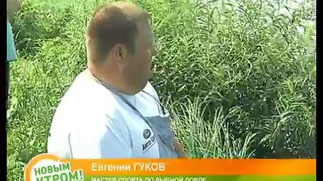 Под Липецком рыбаки профессионалы учат ловить рыбу в Дону смотреть онлайн