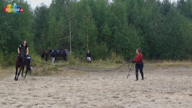 В Архангельске прошли показательные выступления на лошадях смотреть онлайн