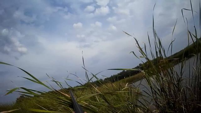 Охота На Утку!! ОТКРЫТИЕ ОХОТЫ 2021-2022! смотреть онлайн