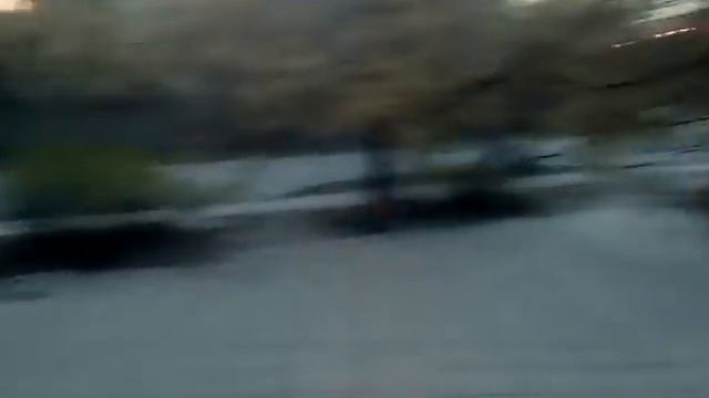 Когда примут меры? "В Алчевске бродячие собаки нападают на людей..." смотреть онлайн